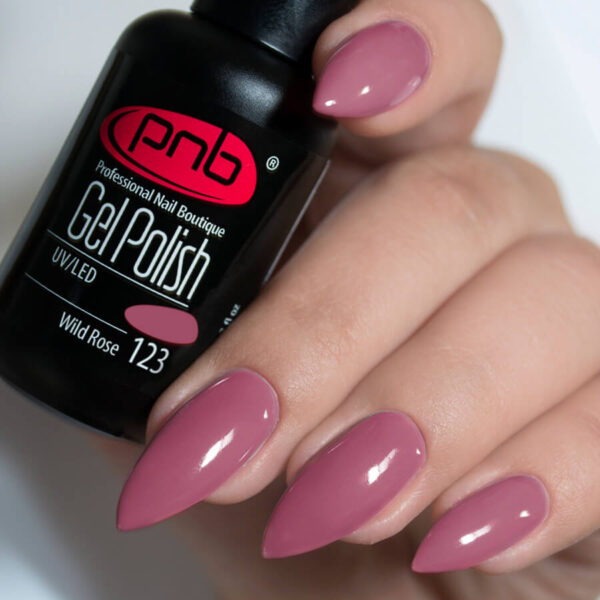 PNB Gel Polish 123