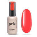 PNB Gellack 254