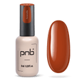 PNB Gel Polish 281
