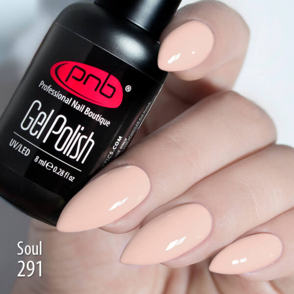 PNB Gel Polish 291