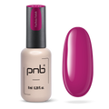 PNB Gel Polish 376