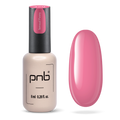 PNB Gel Polish 379
