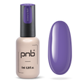 PNB Gel Polish 385