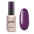 PNB Gel Polish 384